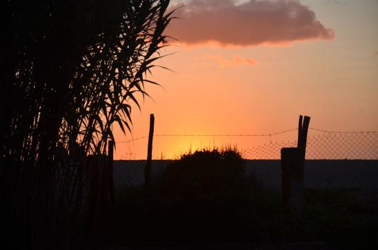 am Abend