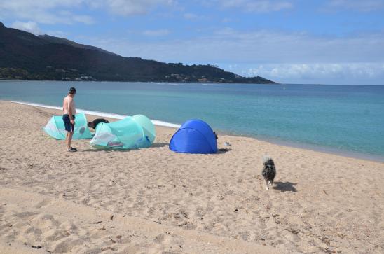 Schöner Strand zum Relaxen und baden. Sogar Simba kommt mit zum Schwimmen.