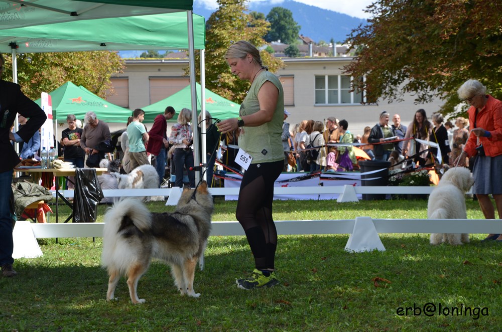 OK Hündinnen Chuckie