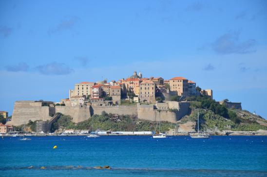 Calvi