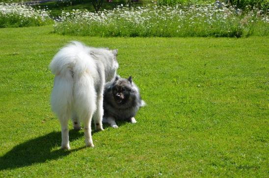 Anila und Gando beim Spiel
