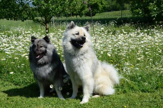 Anila und Gando