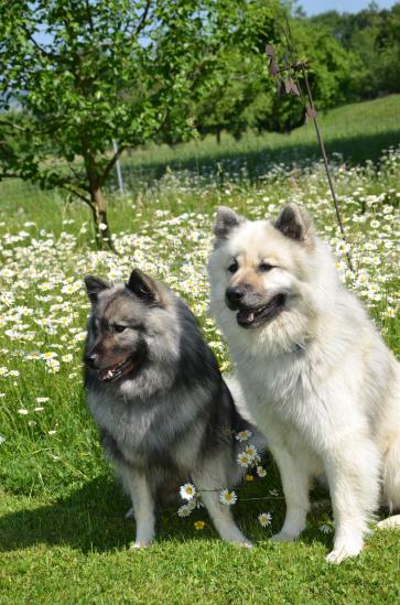 Anila und Gando