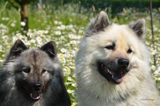 Anila und Gando
