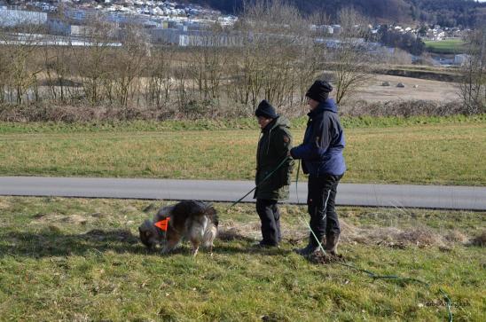 Leinenführigkeit ist sooo.. wichtig