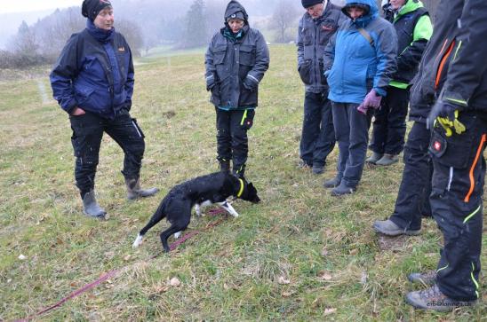 Endbesprechung mit letztem Hund