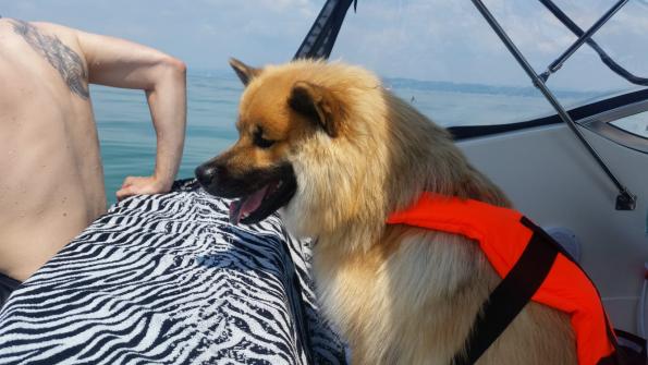 auf dem Boot
