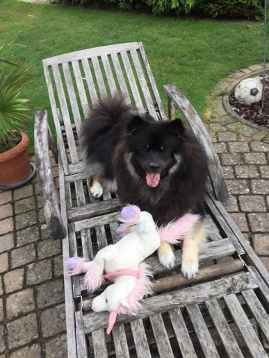 mach mal Pause auf der Liege, mit ihrem Einhorn