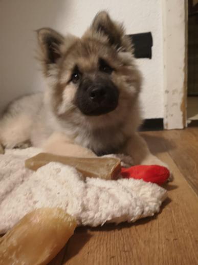 Bode von Loninga 05.01.2019