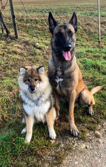 Chuckie mit Freund Phoenix