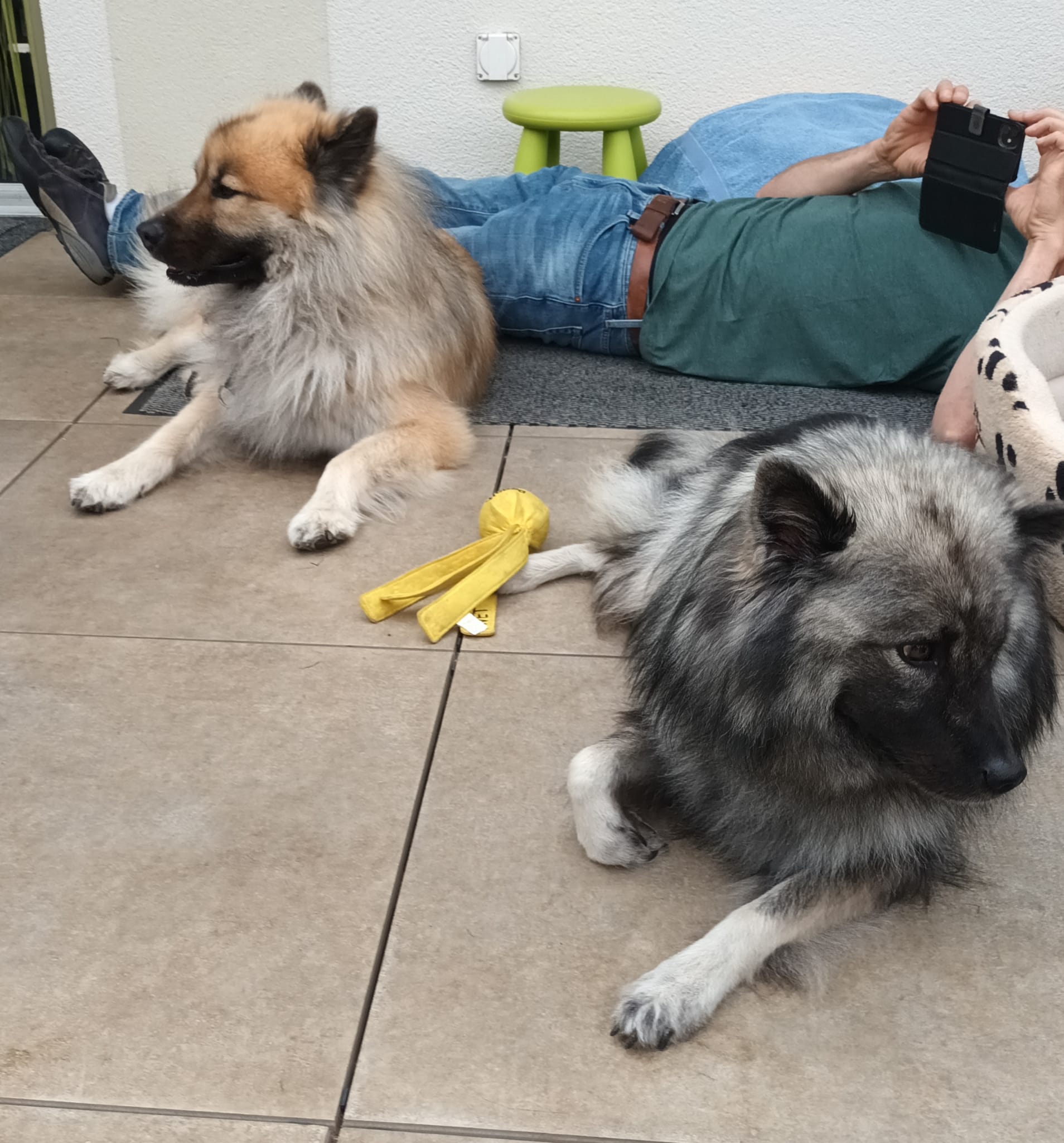 Papa und Mama