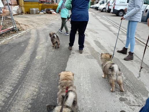 Spaziergang neben der Baustelle durch, ohne Probleme