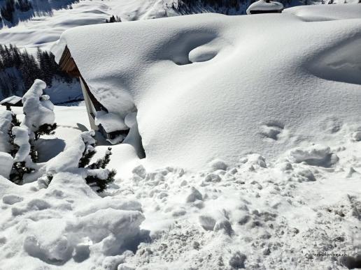 dieses Haus versinkt fast im Schnee