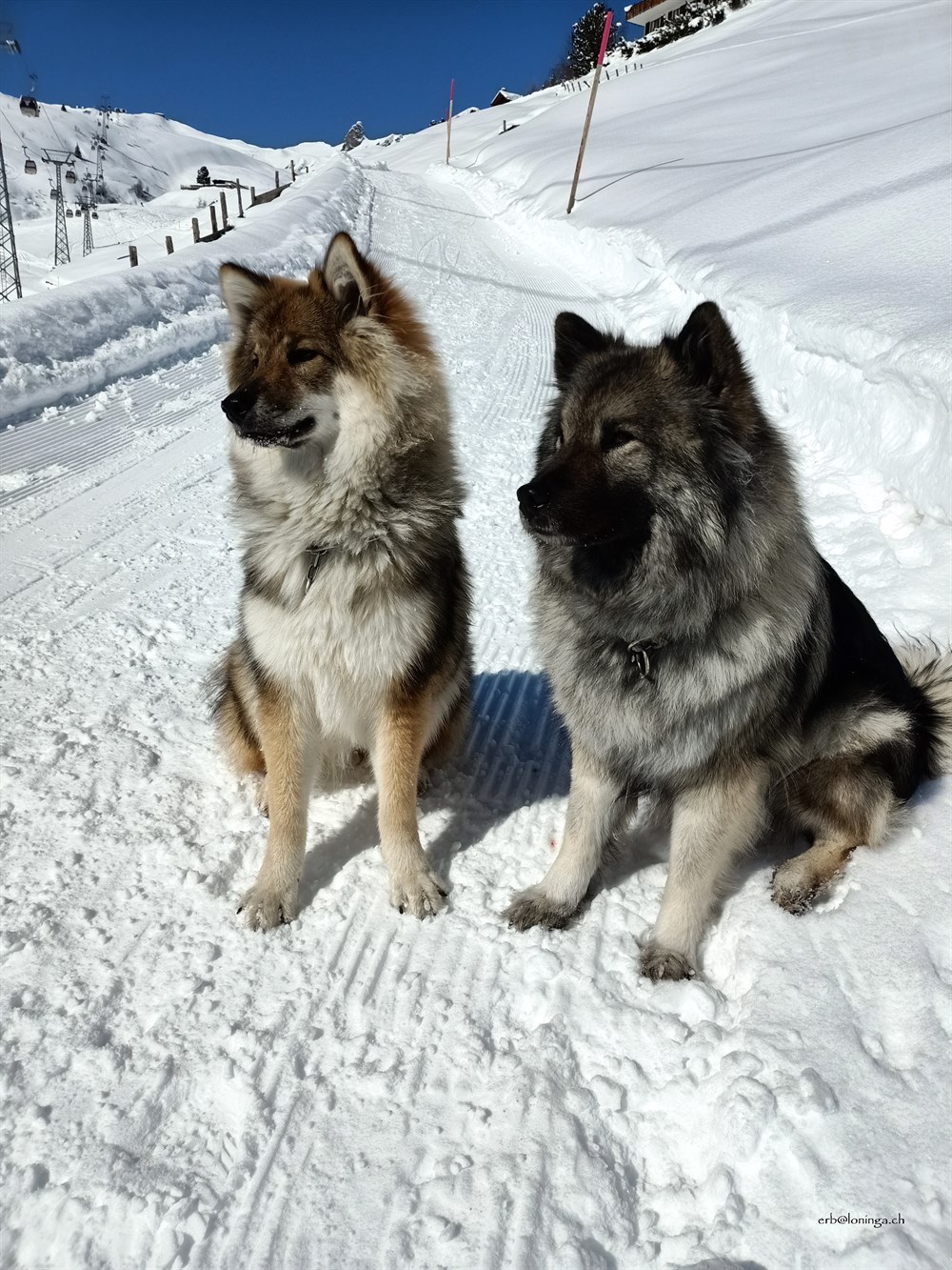 Chuckie und Mama Anila