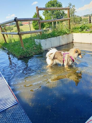 Wasser, entweder durch oder man könnte über die Brücke.....
