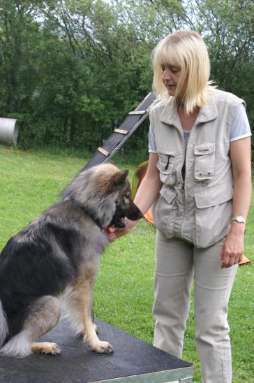 Karin hat immer Plauschhundestunden besucht mit ihr