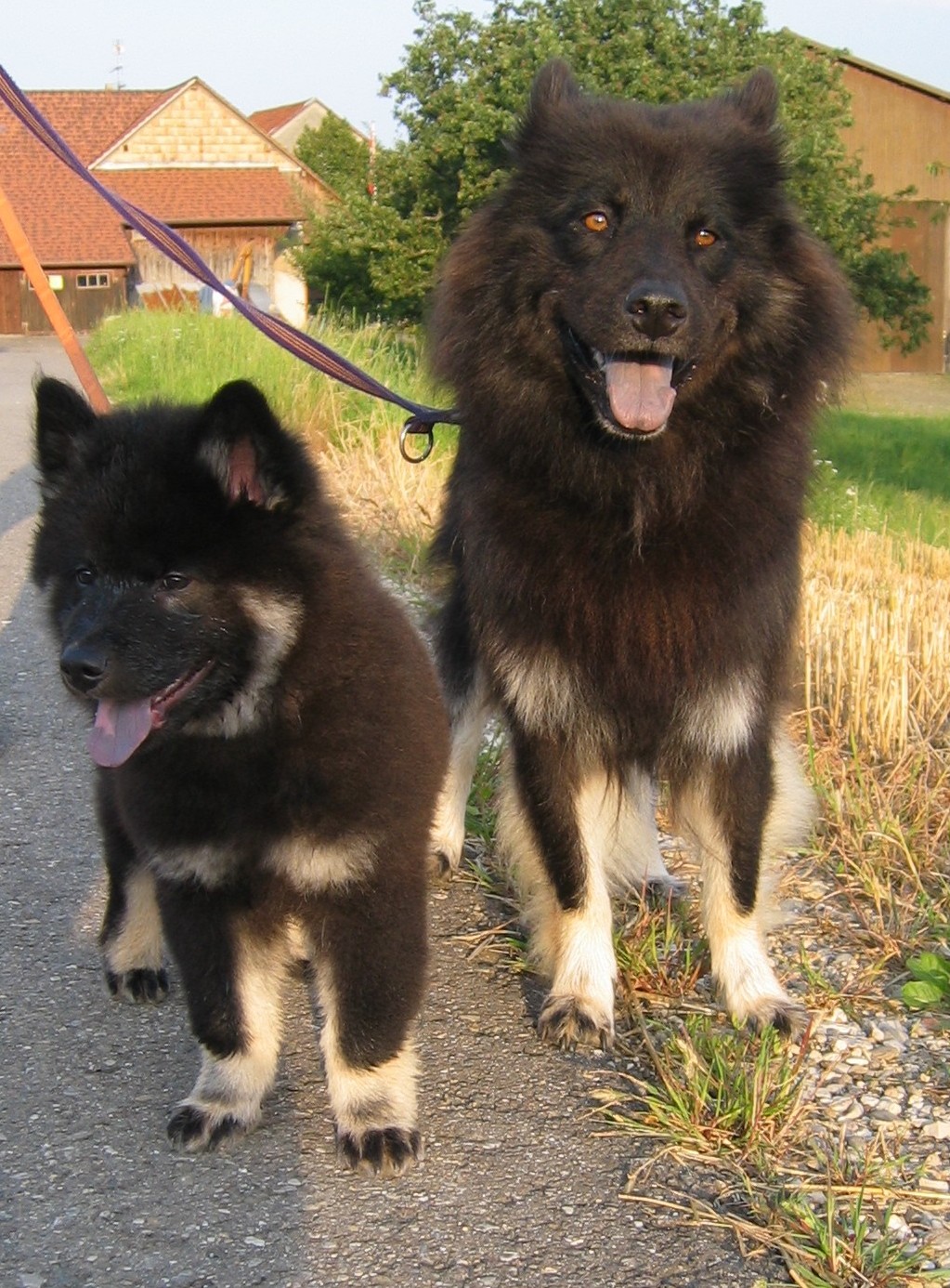 Spaziergang mit Mama Esta