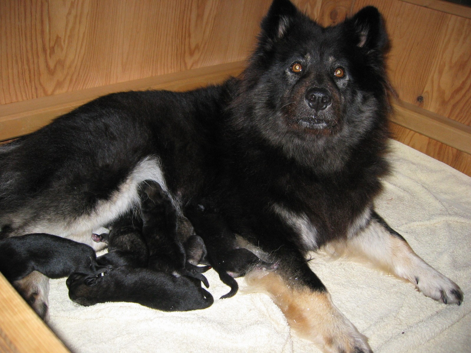 Geburt 13.05.2005
