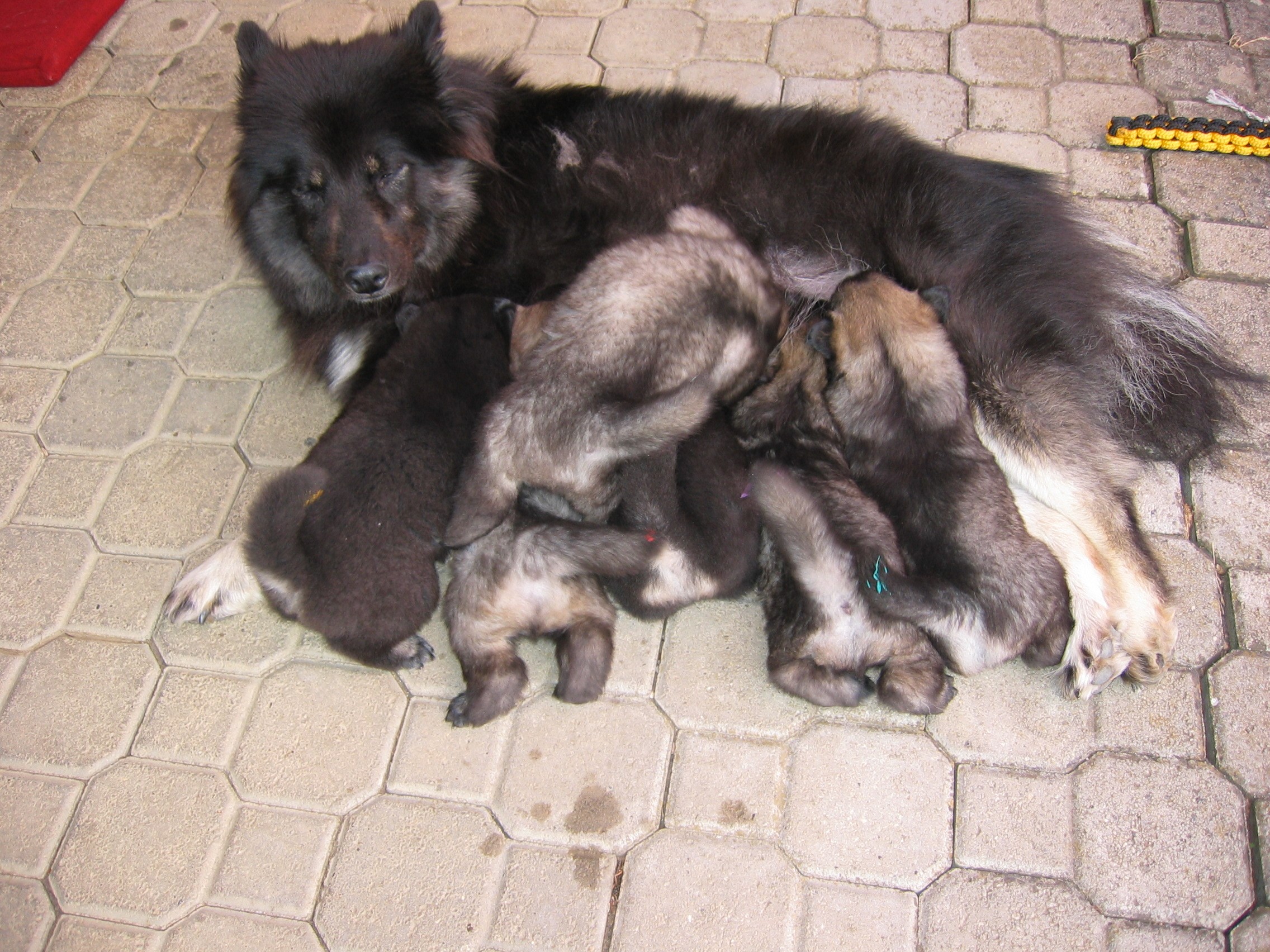 Esta war eine tolle Mama