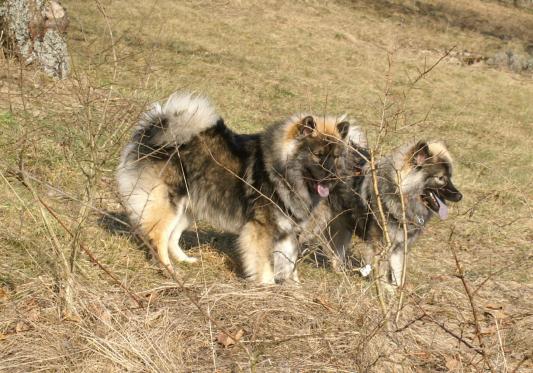 Xeno und Xanja im Januar 2006